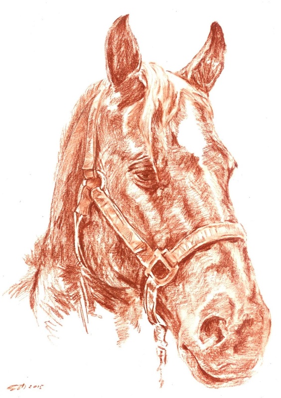 Pferdezeichnung, Rötel auf weißem Papier